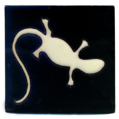 5-2-22-09 - Relief-Serie 10x10 - Lagartija fondo negro, Gecko