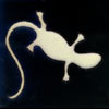 Relief-Serie 10x10 - Lagartija fondo negro, Gecko