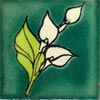 Handbemalte Fliese 5x5 - Aro verde